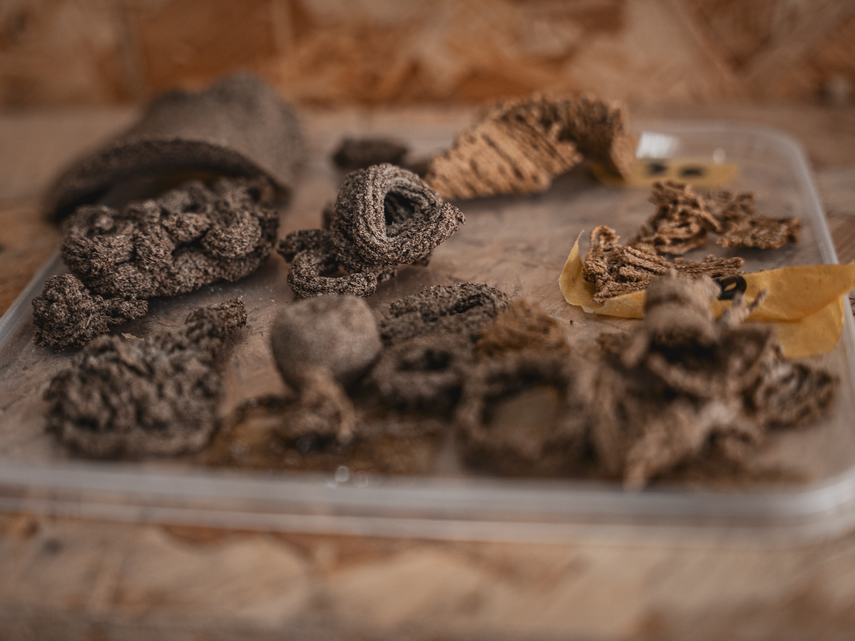 <img src="image.jpg" alt="">